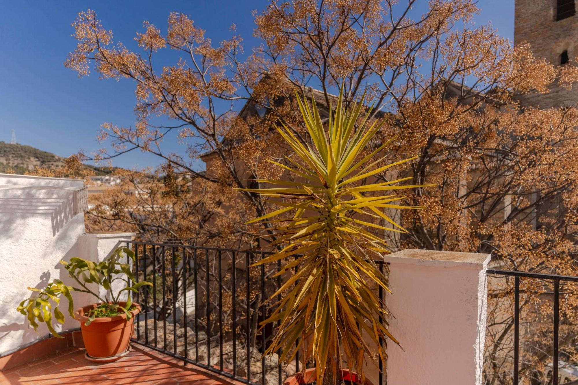 La Casita De La Plaza Villa Granada Dış mekan fotoğraf